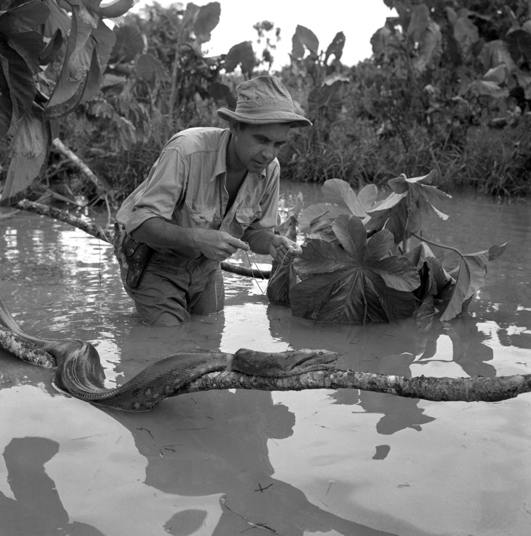 El secreto de la luz Foto 1