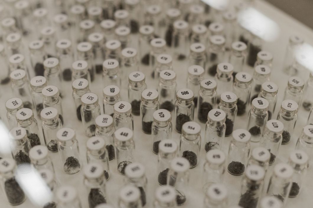 82775033-439b-4bbd-bac7-4534e1699751