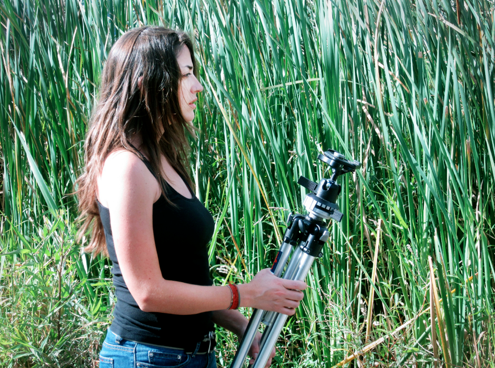 Screen Shot 2017-03-05 at 7.52.17 PM